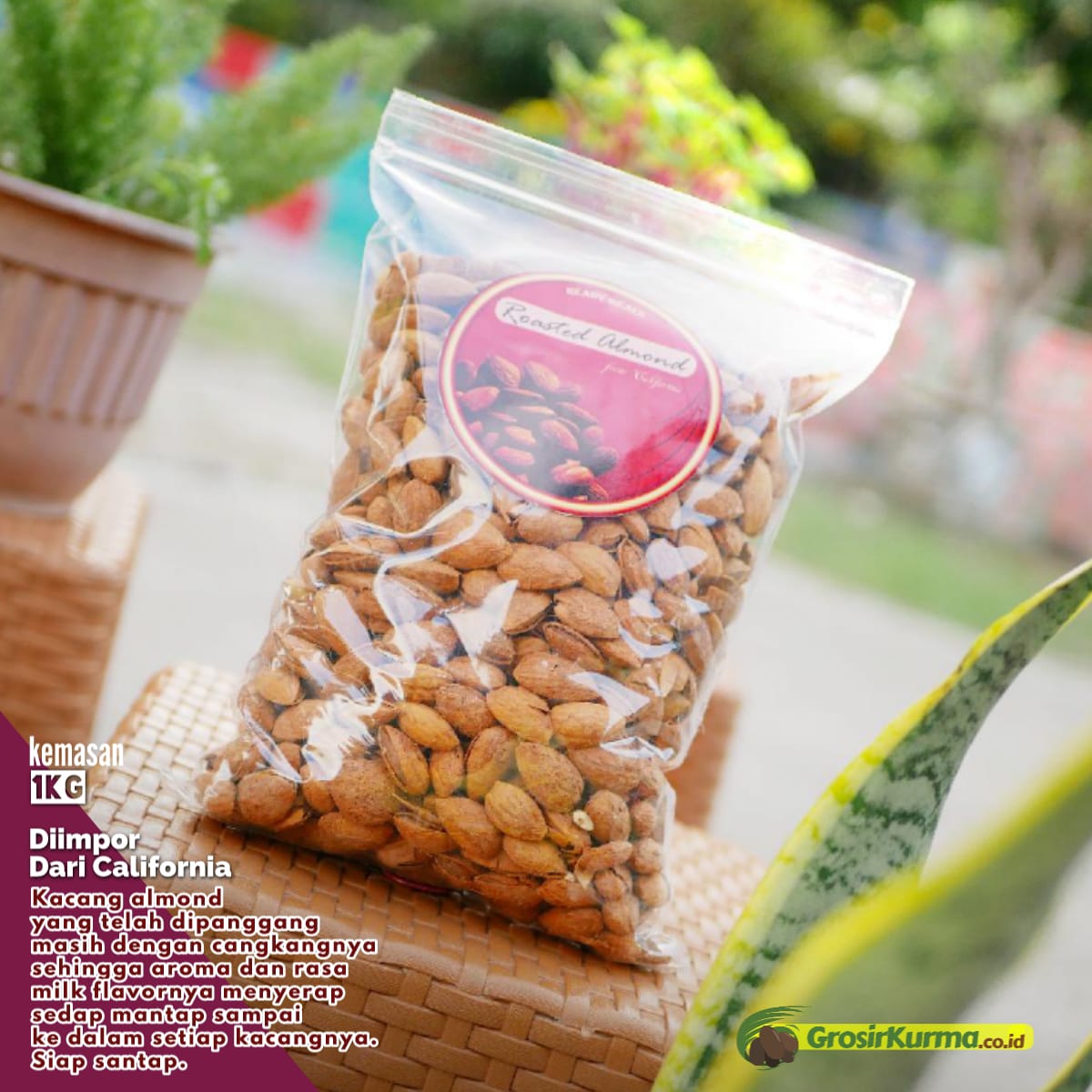 Almond kulit 1