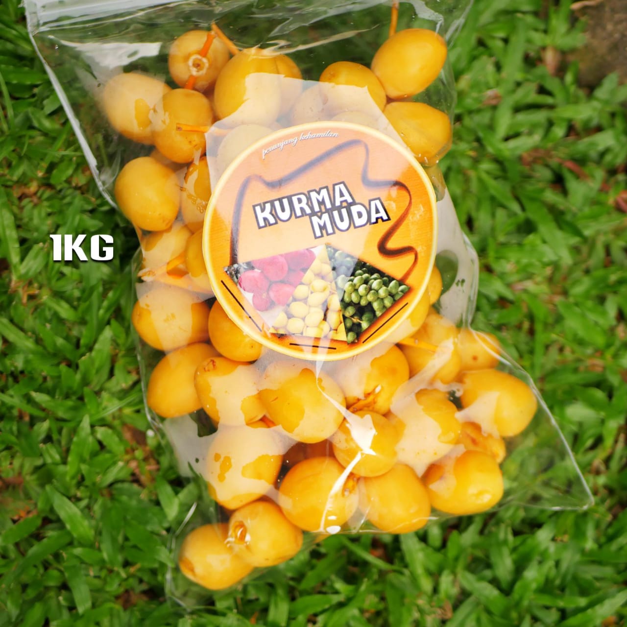 Kurma Muda (1 Kg) – 1 Pack