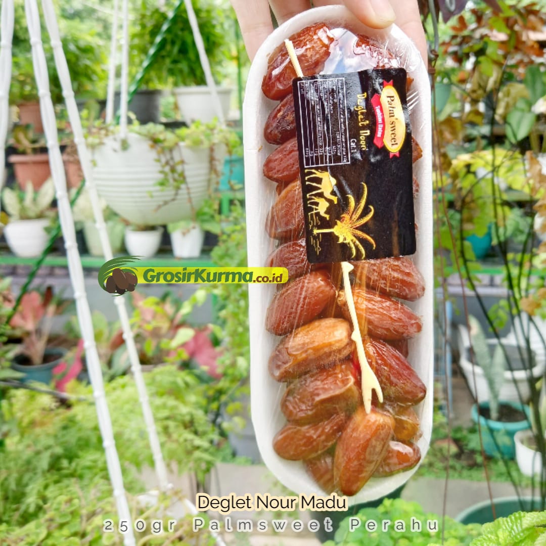 Palmsweet perahu 250gr 2