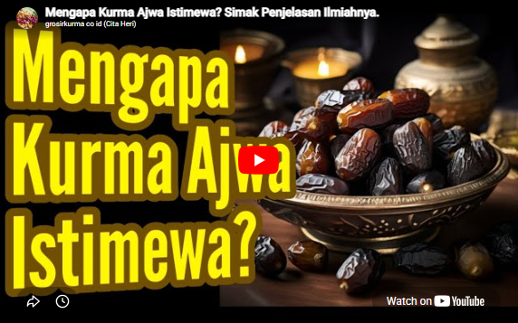 Kandungan Apa yang Membuat Ajwa Istimewa?